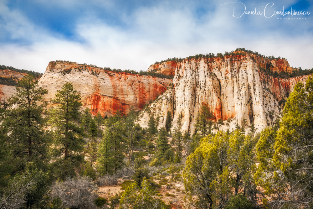 Zion National Park Mountain Range